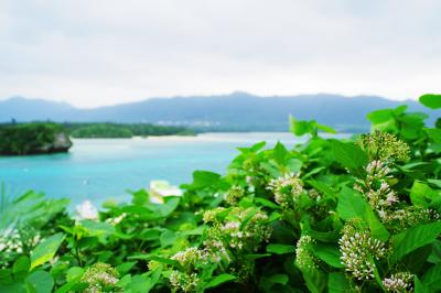 四泊五日で憬れの沖縄へ 一日目、石垣島