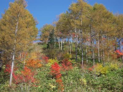 展望とカラマツ黄葉ヘブンスそのはら