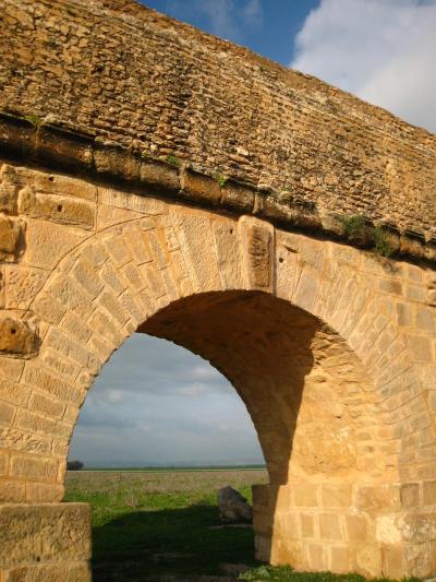 チュニジア旅行記1　～チュニス・ケロアン編～