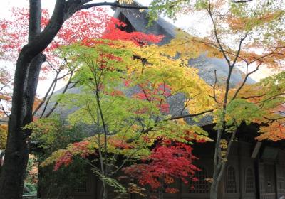 紅葉の平林寺