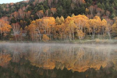 信州「志賀高原」の紅葉と夕日に染まる雲海を撮る。