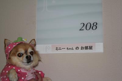 愛犬と行く「旬香（伊勢志摩）」の旅