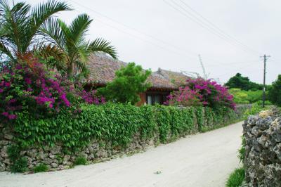 四泊五日で憬れの沖縄へ 二日目、竹富島