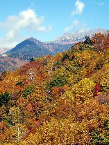 新穂高温泉 紅葉 に関する旅行記 ブログ フォートラベル 岐阜県