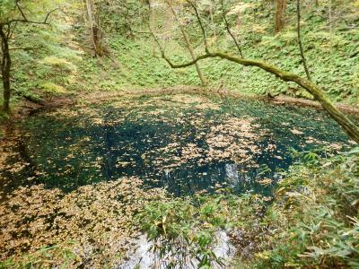 青森２０１１紅葉巡り旅行記　【２】千畳敷～白神山地（十二湖）～黄金崎不老ふ死温泉