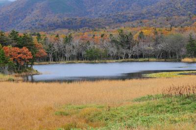 北海道知床　世界自然遺産を行く