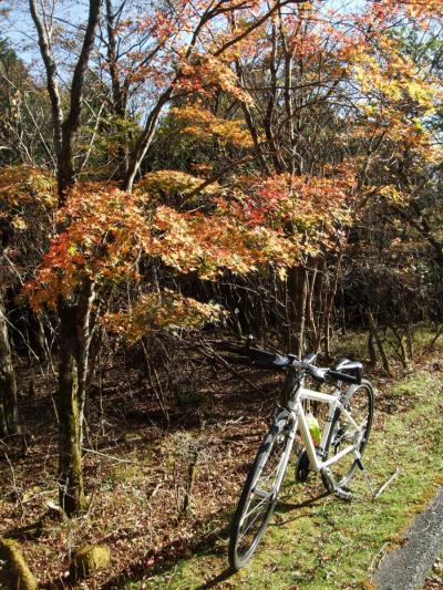 自転車でウロウロ…２０１１．１０．２７=富士山南麓を回って来ました③～紅葉編～=