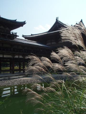 平等院鳳凰堂 （京都府・宇治市）