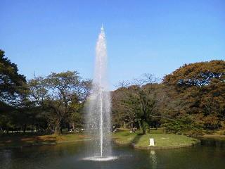 秋の代々木公園でランニングを