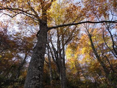 東北の世界遺産巡り vol.2