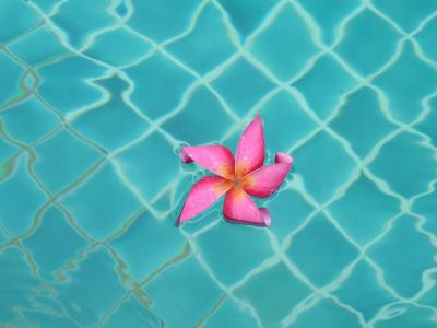 微笑みの国タイで癒される夏休み７ｄａｙｓ　～ホアヒン編～