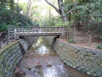 等々力渓谷～都会の中のオアシスを求めて