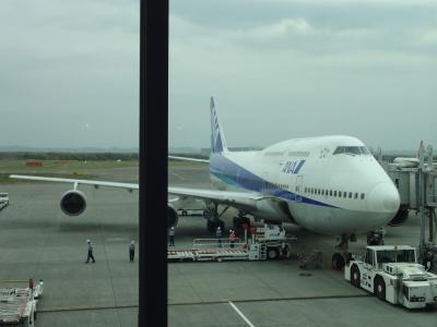 ２０１１．１０北海道旅行２日目−９「新富良野プリンスホテル」＆３日目「ＡＮＡ千歳ー羽田便」編（最終回）