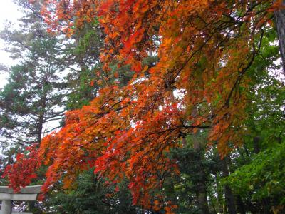 草津パワースポット　白根神社参拝～♪　美しい紅葉に感動!!!