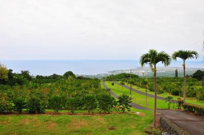 2011年 ハワイ島1泊2日の旅 2日目 (コナ→ホノルル)