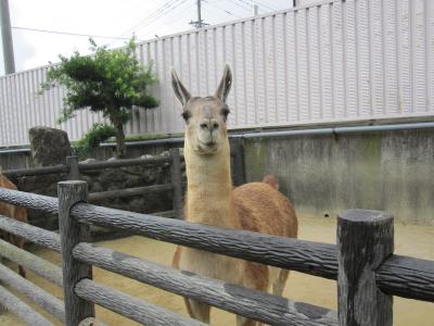 夏の別府、鉄輪温泉