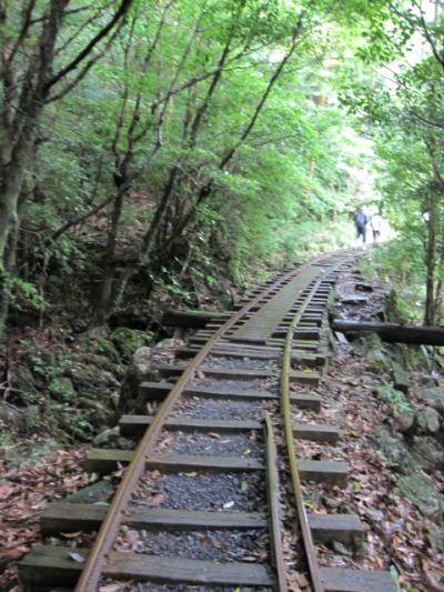 屋久島★縄文杉登山＆シーカヤック★