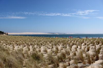 アルカション 自然に癒される旅! vol.2