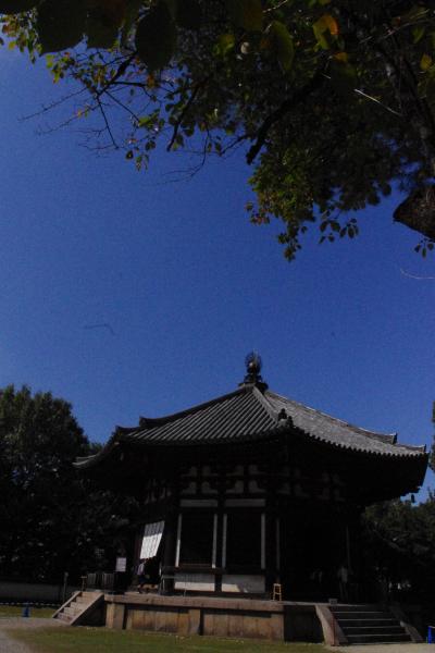 秋の大和路散策　特別公開の興福寺（北円堂・三重塔）・法華寺・海龍王寺２０１１