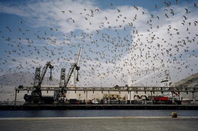 ジェイミー＆ベン 自転車で南極へ42　僕たちの旅は終わるが、人生は続く