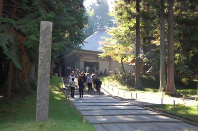 【世界遺産訪問】みちのく浪漫満載！平泉日帰り旅行