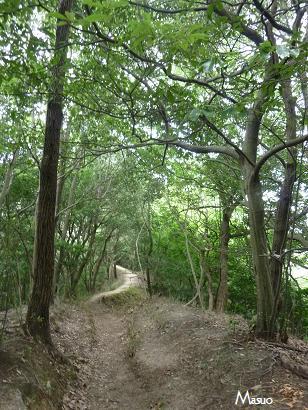 比叡山(きらら坂)