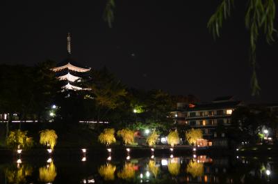 2011年　出張ついでに奈良公園散策