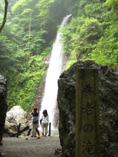 ひまわり畑と養老の滝　Ｖｏｌ．２