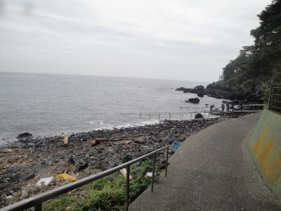 久々の富戸ダイビング