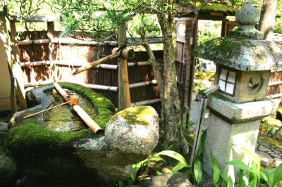 京の夏旅・庭園と建造物を訪ね歩く:後篇