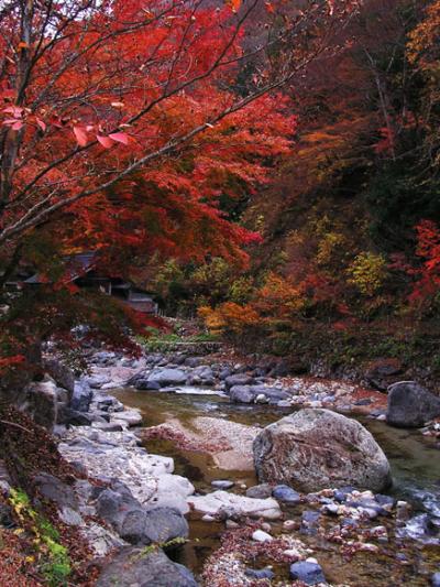 2011年　谷川岳と水上温泉郷の宝川温泉★紅葉真っ盛り★