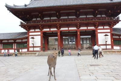 奈良大和路へ大人修学旅行