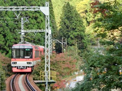 気軽な日帰り旅♪　展望列車が走る 絶景路線「きらら」