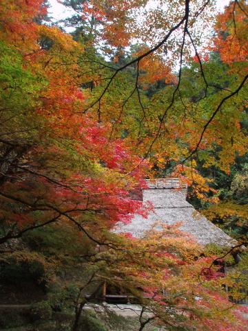 吉水園 （広島県・安芸太田町加計）