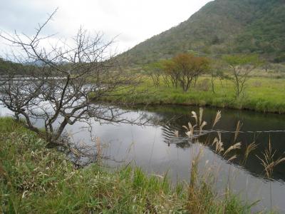 県立赤城高原・覚満淵散策