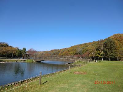 苫小牧・緑ヶ丘公園　紅葉
