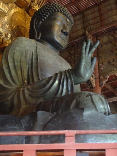 コンデジデビューを奈良京都で♪秋の女１人旅、１日目は奈良公園