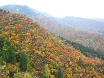 紅葉の魚沼地方