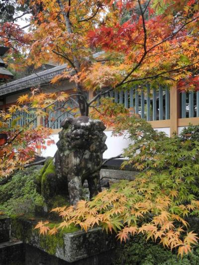 2011年京都の旅　ちょっと早いですが京都で紅葉を探しました（その２）