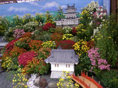 第十二回JSDG全国大会 in 小田原