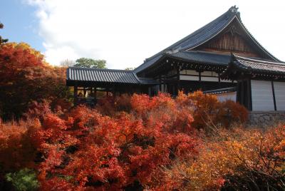 紅葉の京都　２泊３日母娘２人旅
