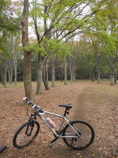 2011年11月　都立小金井公園に行ってきました。