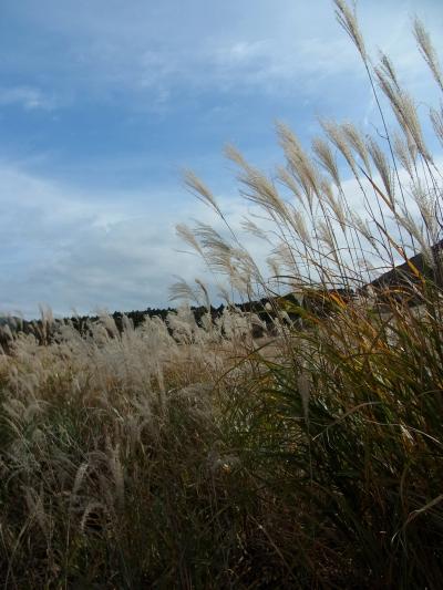 仲良し仲間と秋の箱根で遊んできました