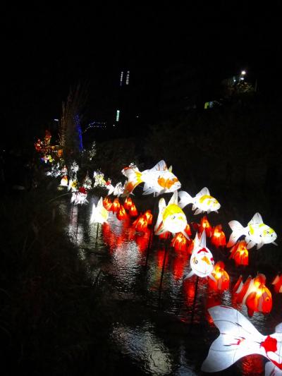 5回目　韓国チャレンジ旅行～写真追加しました^^;