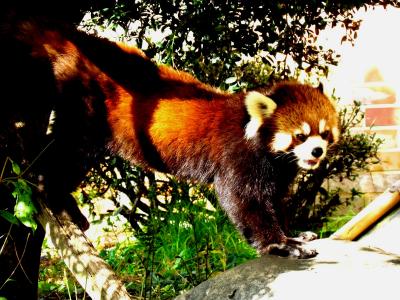 lrg_10620554.jpg?updated_at=