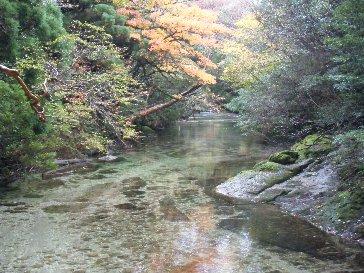 えっ！！また行ったの！屋久島