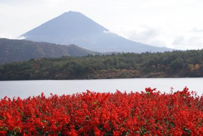 秋の富士山を見に行こう