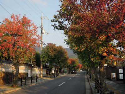 【奈良県（奈良）】紅葉の奈良大和路巡り