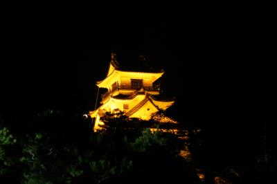 夜の高知城