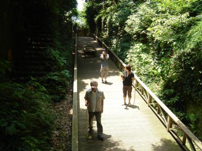 横須賀に無人島が！　猿島探検とＢＢＱ